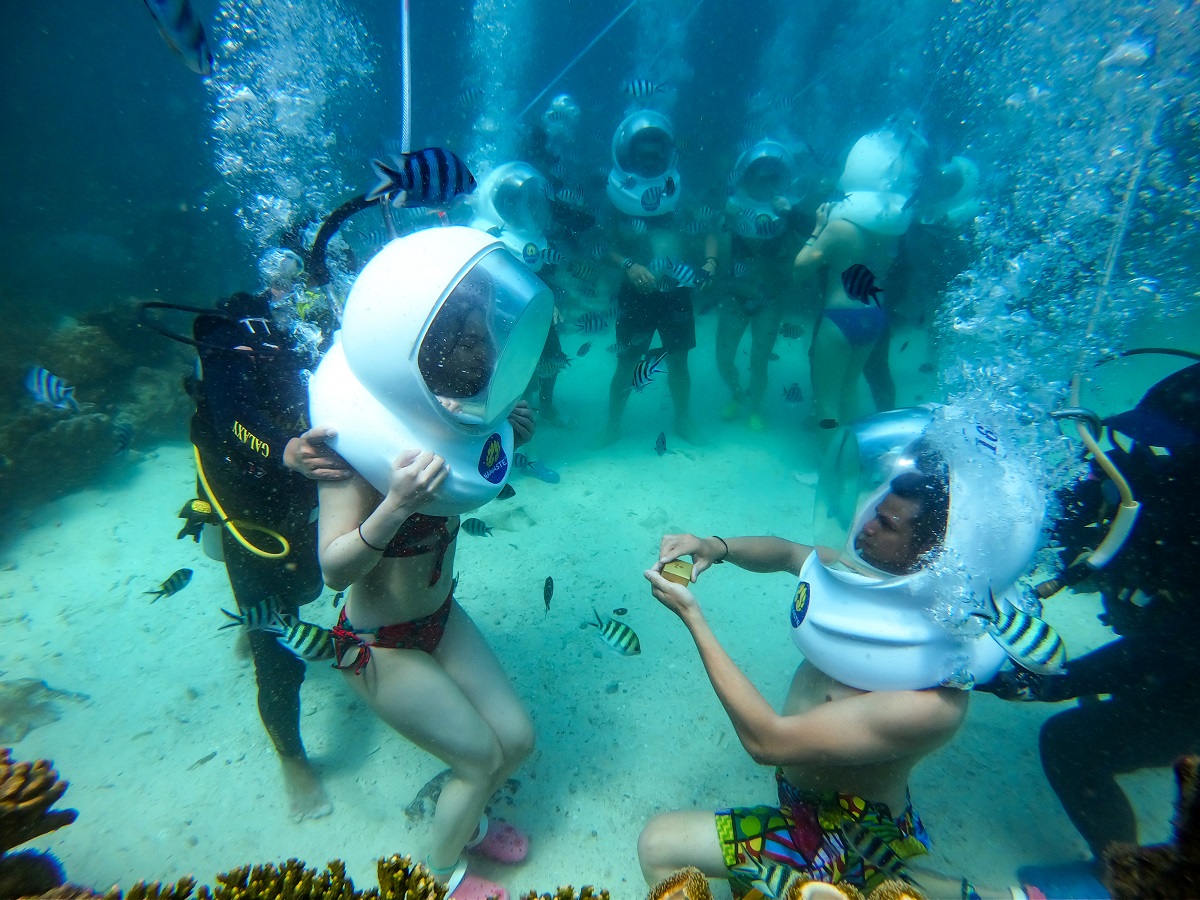 Cầu hôn giữa vườn san hô rực rỡ và không gian riêng tư dưới nước