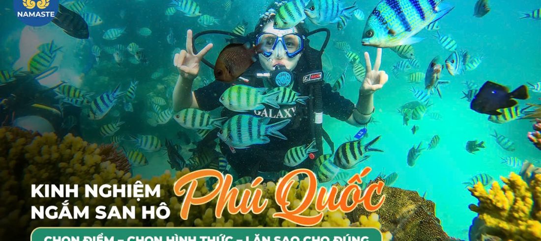 Kinh nghiệm ngắm san hô Phú Quốc