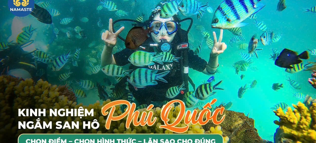Kinh nghiệm ngắm san hô Phú Quốc