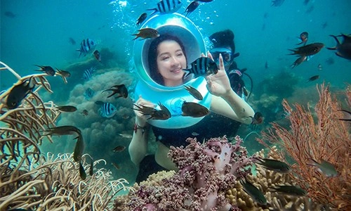 Trải nghiệm đi bộ dưới biển độc đáo