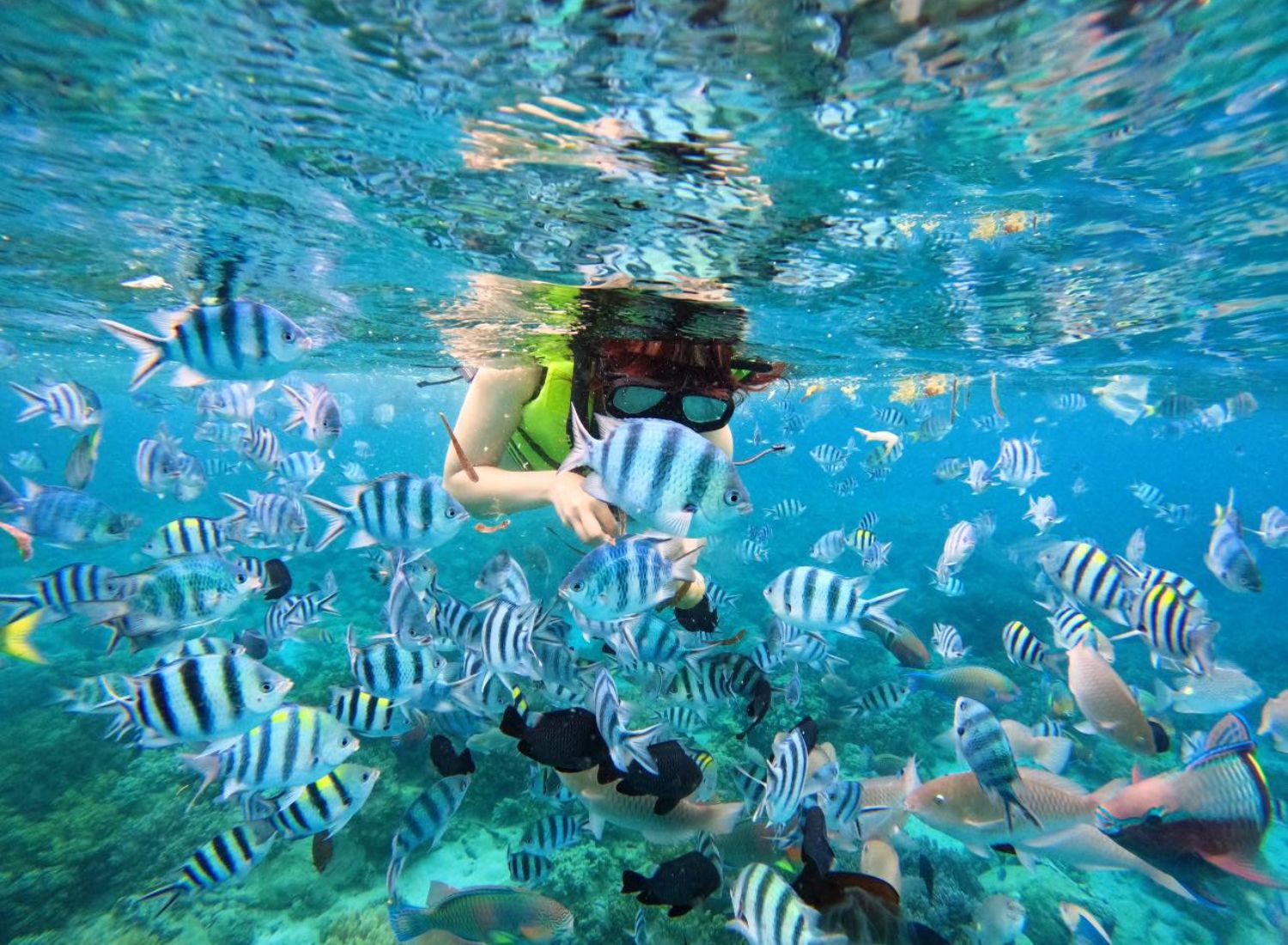 Hòn gầm ghì nên chọn gì