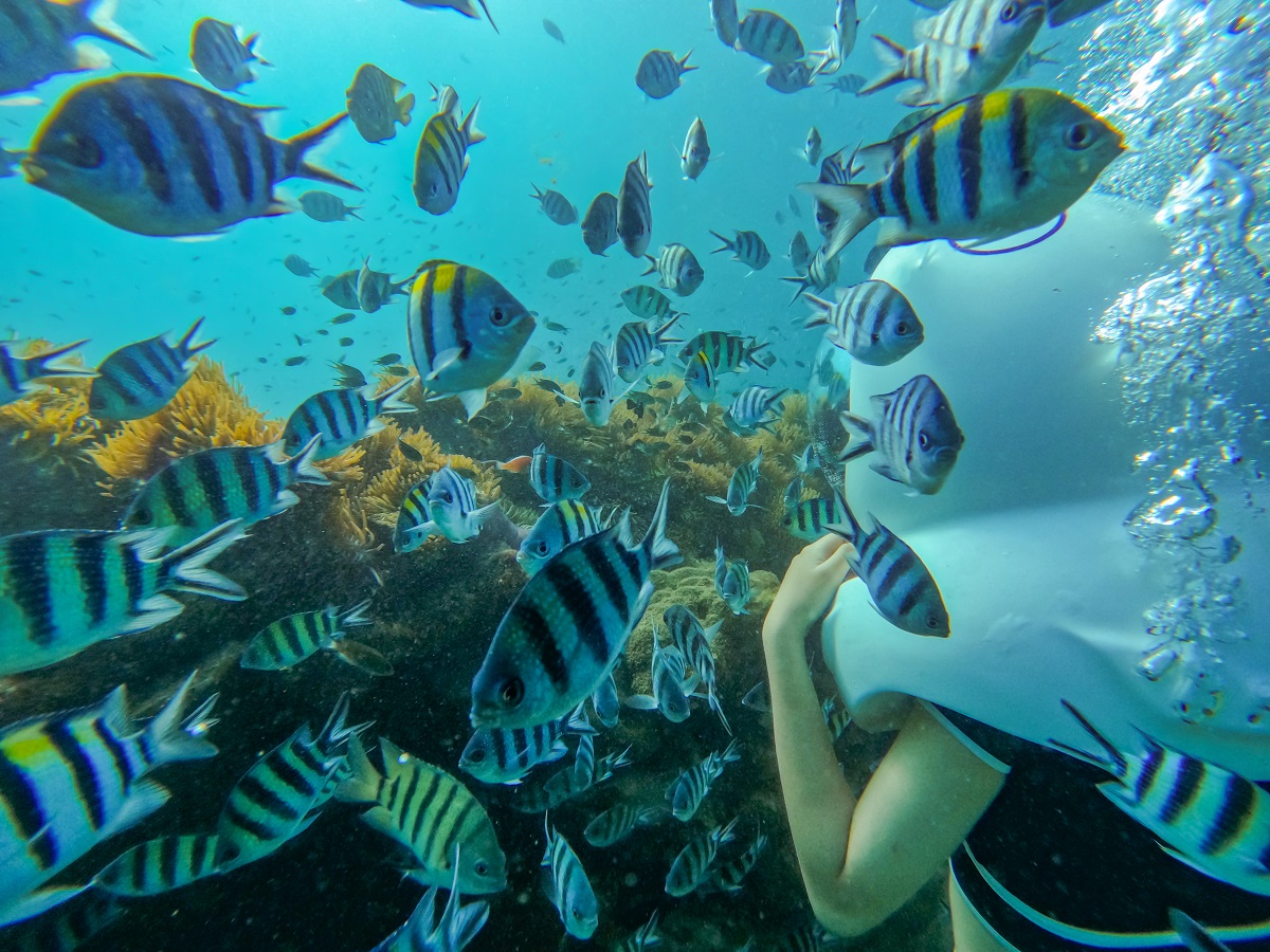 Namaste – Công viên san hô kết hợp du lịch và bảo tồn