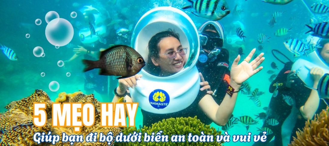 5 Mẹo Vàng Giúp Bạn Đi Bộ Dưới Biển An Toàn và Trọn Vẹn