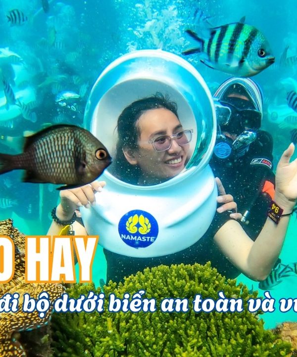 5 Mẹo Vàng Giúp Bạn Đi Bộ Dưới Biển An Toàn và Trọn Vẹn