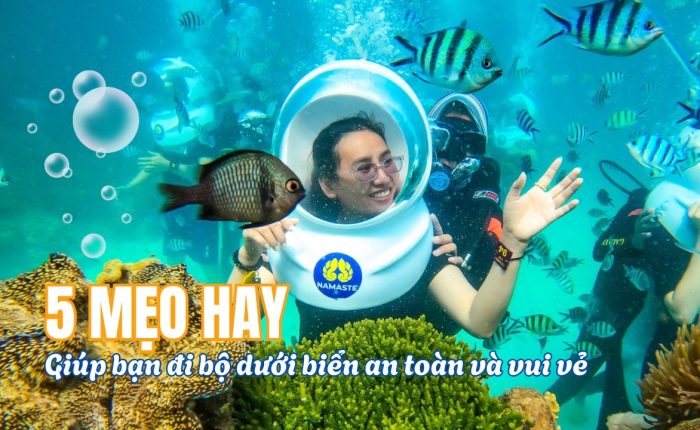 5 Mẹo Vàng Giúp Bạn Đi Bộ Dưới Biển An Toàn và Trọn Vẹn