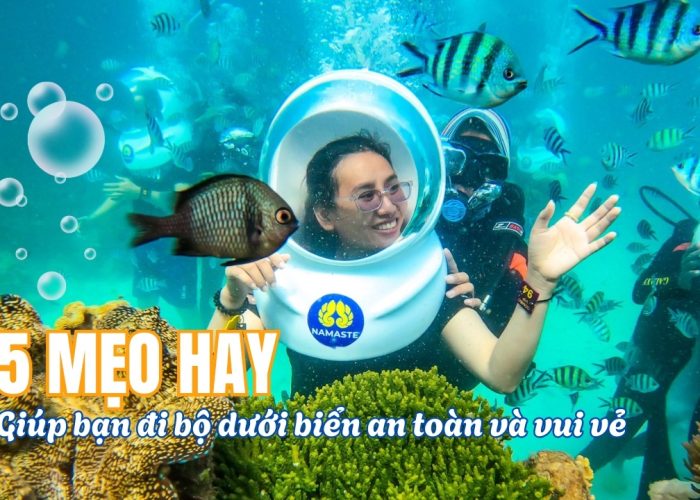 5 Mẹo Vàng Giúp Bạn Đi Bộ Dưới Biển An Toàn và Trọn Vẹn