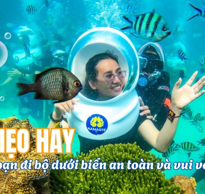 5 Mẹo Vàng Giúp Bạn Đi Bộ Dưới Biển An Toàn và Trọn Vẹn