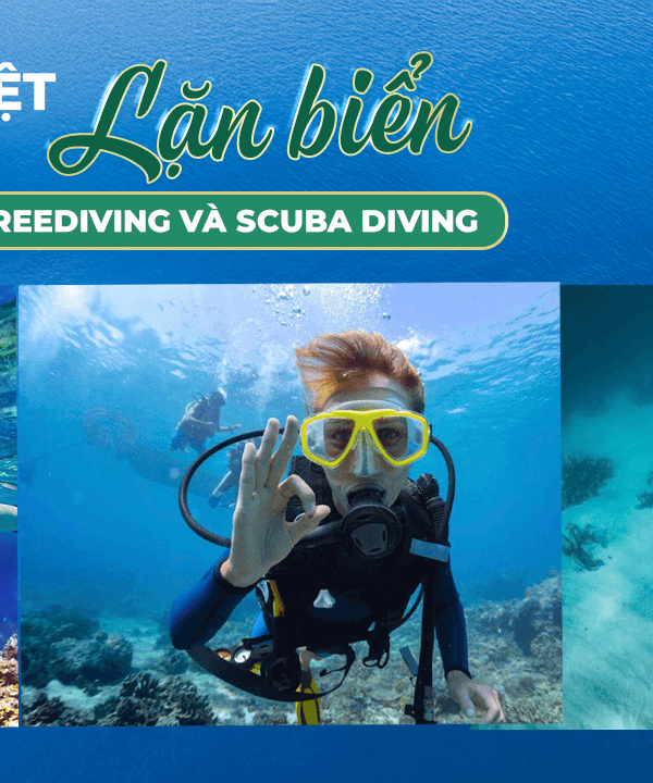 Phân biệt 3 kiểu lặn biển Snorkeling, Freediving và Scuba Diving