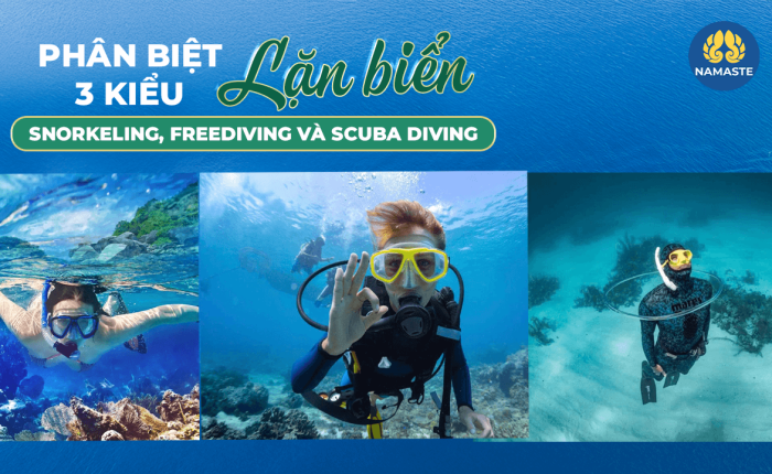 Phân biệt 3 kiểu lặn biển Snorkeling, Freediving và Scuba Diving