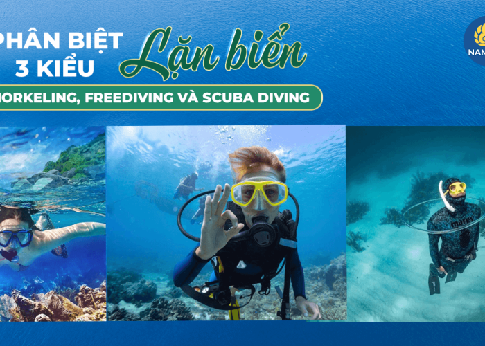Phân biệt 3 kiểu lặn biển Snorkeling, Freediving và Scuba Diving