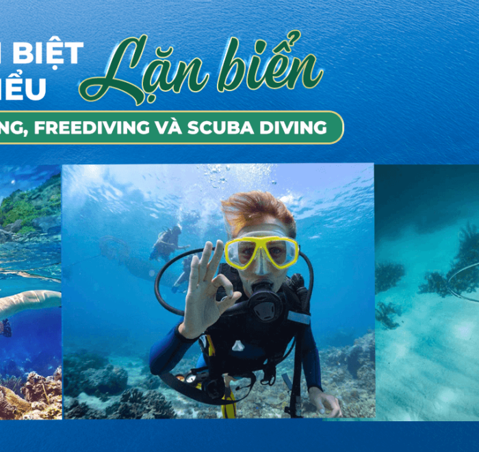 Phân biệt 3 kiểu lặn biển Snorkeling, Freediving và Scuba Diving