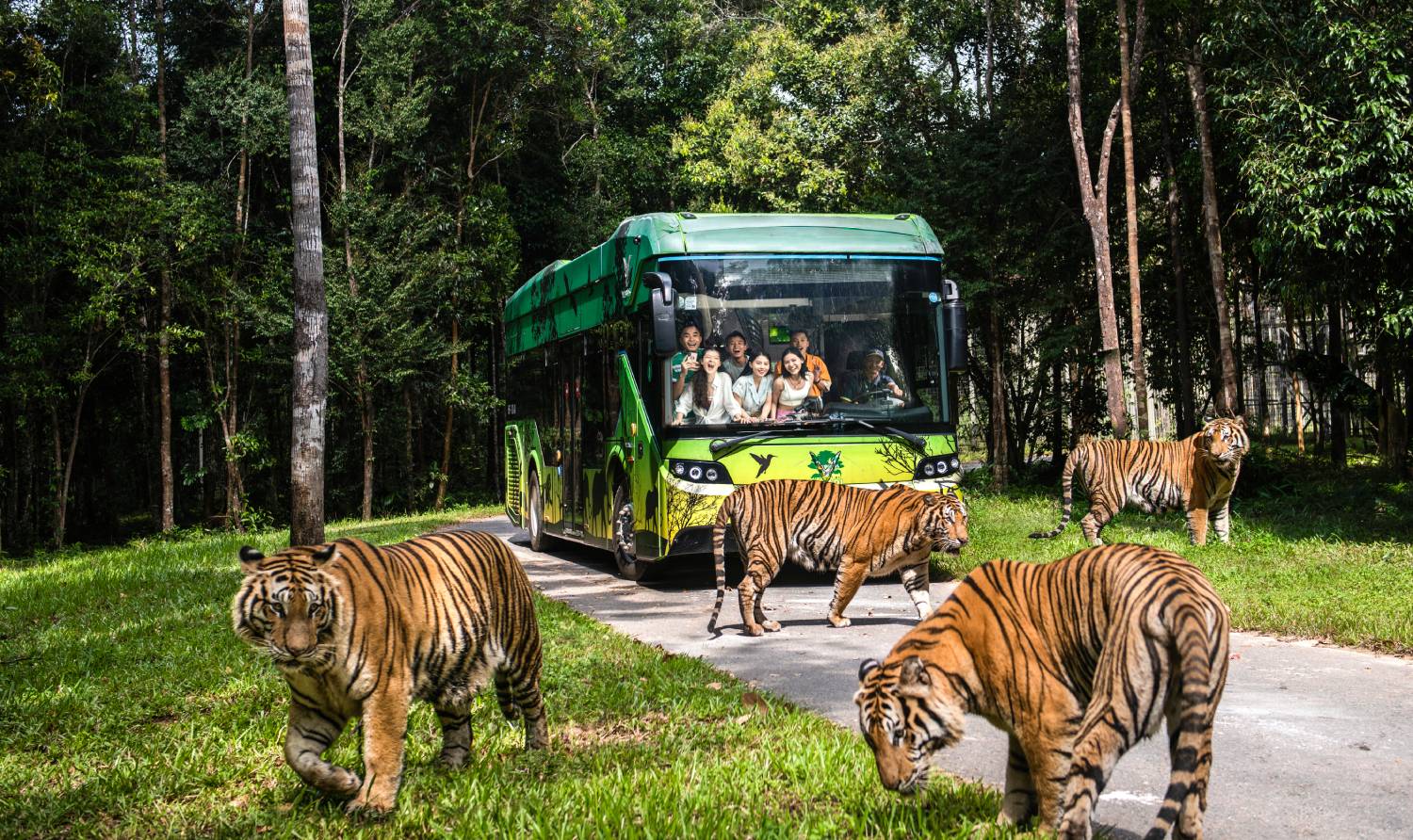 Vinpearl Safari Phú Quốc Công viên bảo tồn động vật bán hoang dã đầu tiên và lớn nhất Việt Nam