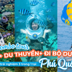 Combo Tour Đảo + Du Thuyền + Đi Bộ Dưới Biển