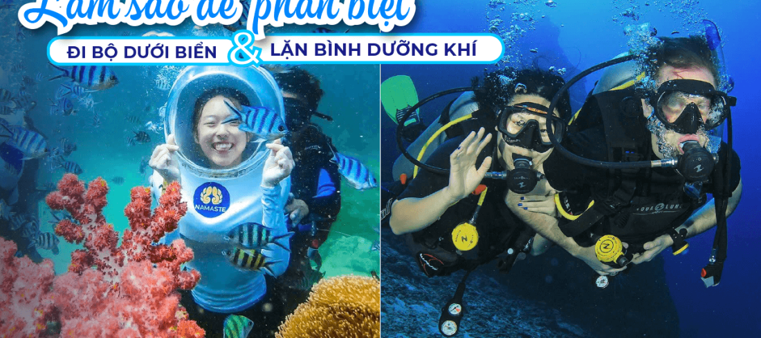 Đi Bộ Dưới Biển vs Lặn Bình Dưỡng Khí