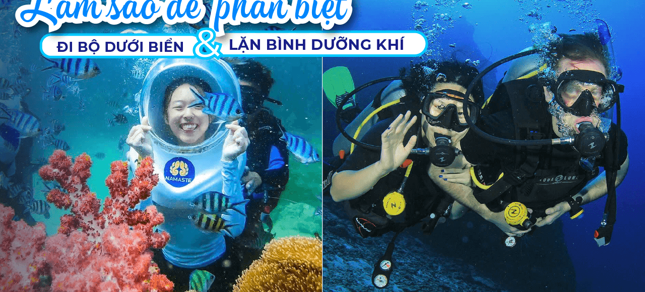 Đi Bộ Dưới Biển vs Lặn Bình Dưỡng Khí