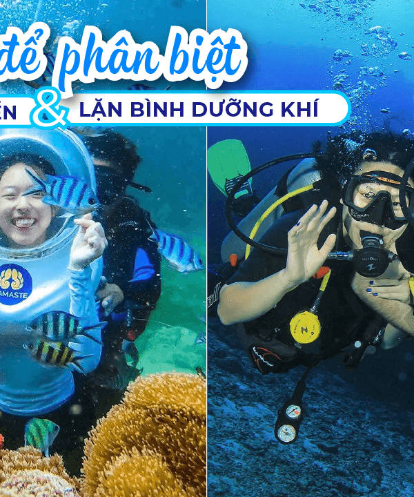 Đi Bộ Dưới Biển vs Lặn Bình Dưỡng Khí