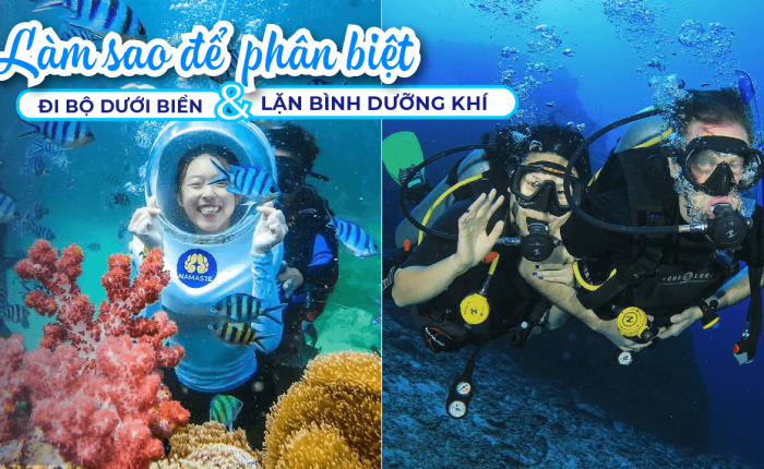 Đi Bộ Dưới Biển vs Lặn Bình Dưỡng Khí