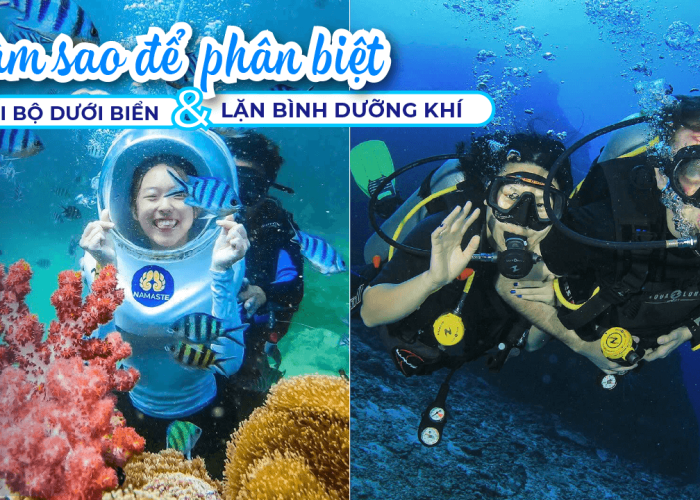 Đi Bộ Dưới Biển vs Lặn Bình Dưỡng Khí