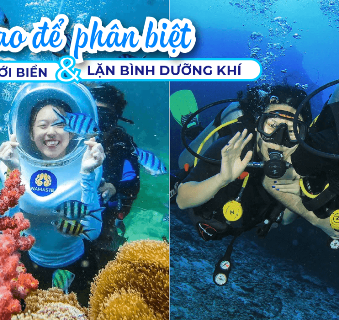 Đi Bộ Dưới Biển vs Lặn Bình Dưỡng Khí