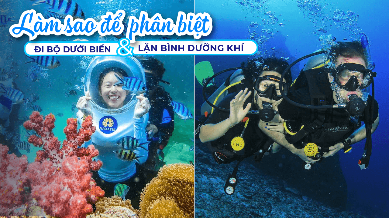 Đi Bộ Dưới Biển vs Lặn Bình Dưỡng Khí