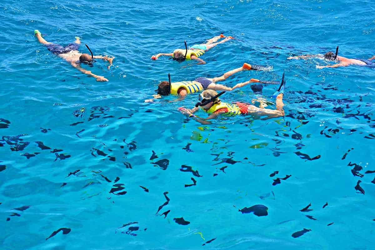 Snorkeling (Bơi Có Ống Thở) – Ngắm Vẻ Đẹp Từ Mặt Nước