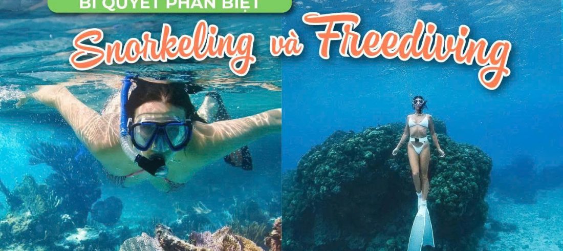 Snorkeling và Freediving Phân Biệt Hai Trải Nghiệm Khám Phá Đại Dương Đầy Thú Vị
