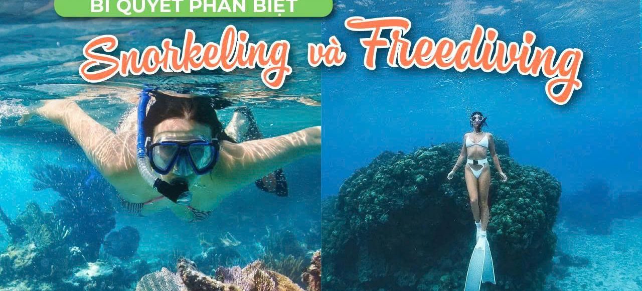 Snorkeling và Freediving Phân Biệt Hai Trải Nghiệm Khám Phá Đại Dương Đầy Thú Vị
