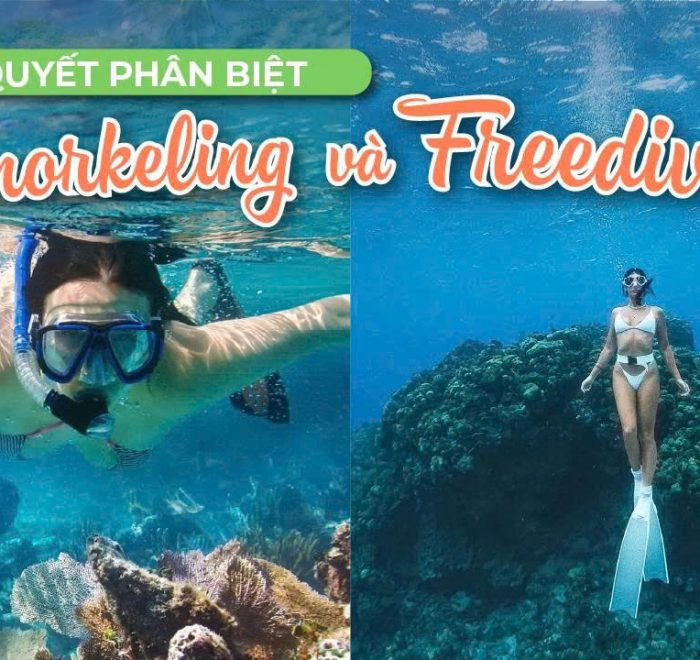 Snorkeling và Freediving Phân Biệt Hai Trải Nghiệm Khám Phá Đại Dương Đầy Thú Vị